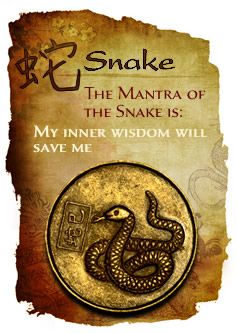 year-of-the-snake-1