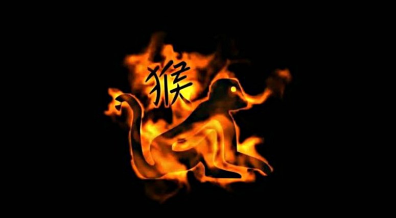 a year of the fire monkey 1