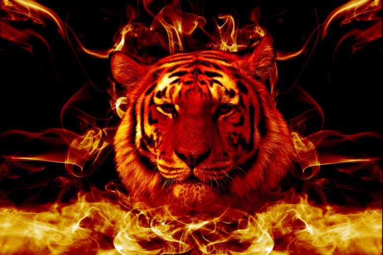 Flaming-Tiger-Wallpaper-HD