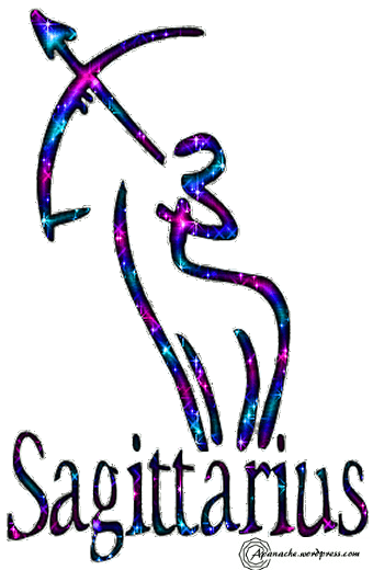 honeycam-2016-11-19-19-55-08