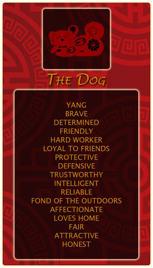 Chinese Year of the Dog.jpg