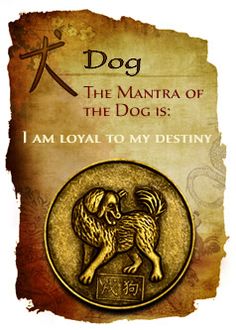 Year of the Dog 2018